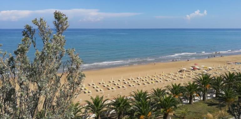Spiaggia sabbiosa con ombrelloni, palme e mare calmo sotto un cielo azzurro.