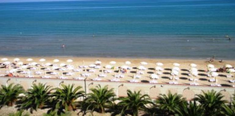 Spiaggia con ombrelloni bianchi, mare calmo e palme verdi.