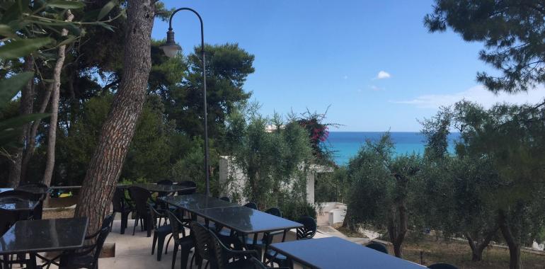 Terrazza con tavoli e sedie, vista mare e alberi.