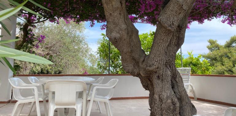 Terrazza con tavolo bianco sotto un albero fiorito.